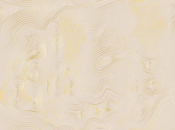 Topographische Karte Gold Abstrakter Hintergrund Mit Höhenlinien Die Stilisierte Höhe — Stockvektor