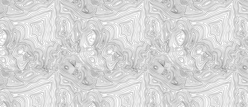 Background of the topographic map. Topographic map black lines, contour background. Geographic grid, vector abstract on white