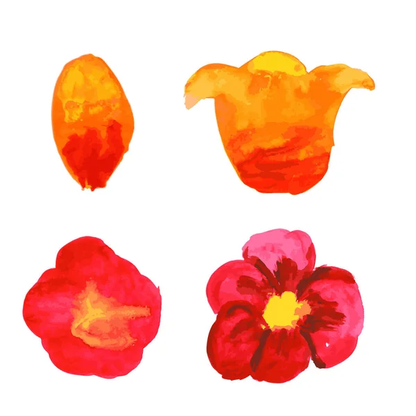 Eine Vector Floral Collection Bemalter Rosa Aquarell Pfingstrosen Rosa Und — Stockvektor