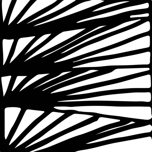 Fekete Fehér Absztrakt Kézzel Rajzolt Textúra — Stock Vector