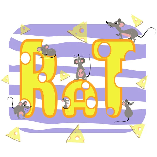 Leuke Muis Kaasgaten Inscriptie Rat Cartoon Schattige Rat Symbool Van — Stockvector