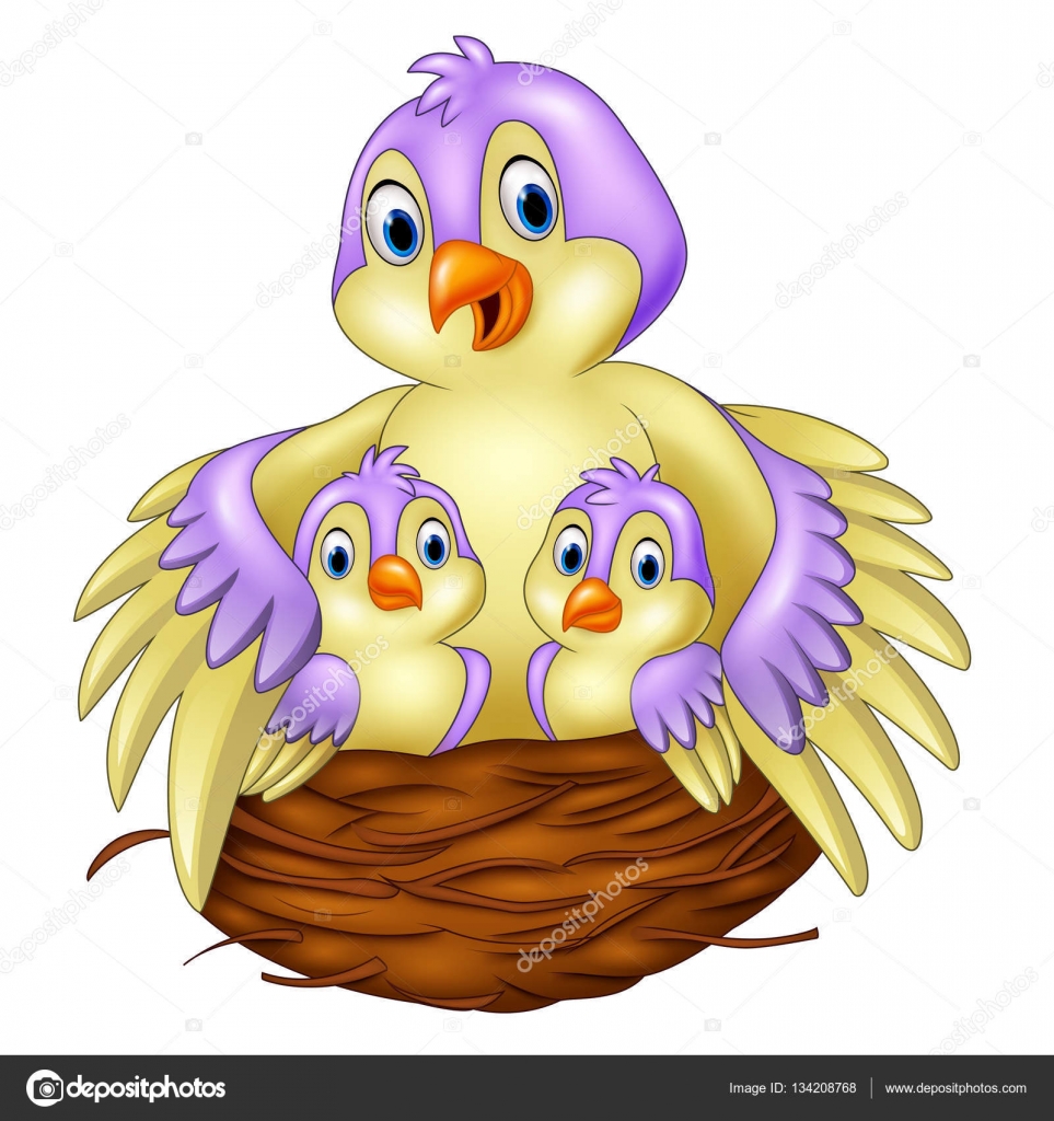 Madre pájaro con sus dos bebés en el nido Vector de stock #134208768 de  ©tigatelu, image size:1600x1700