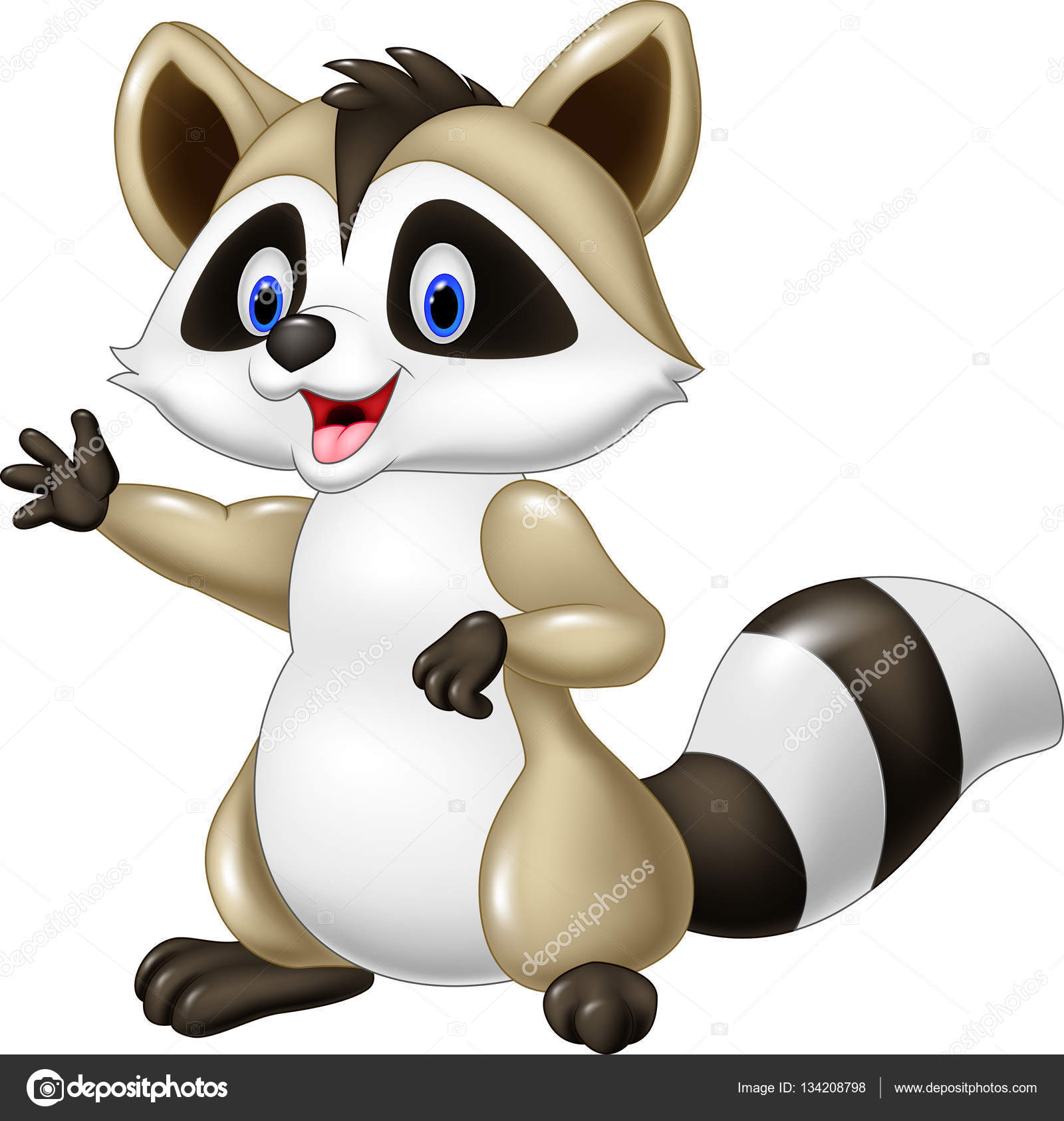 waschbär comic waschbär comic
