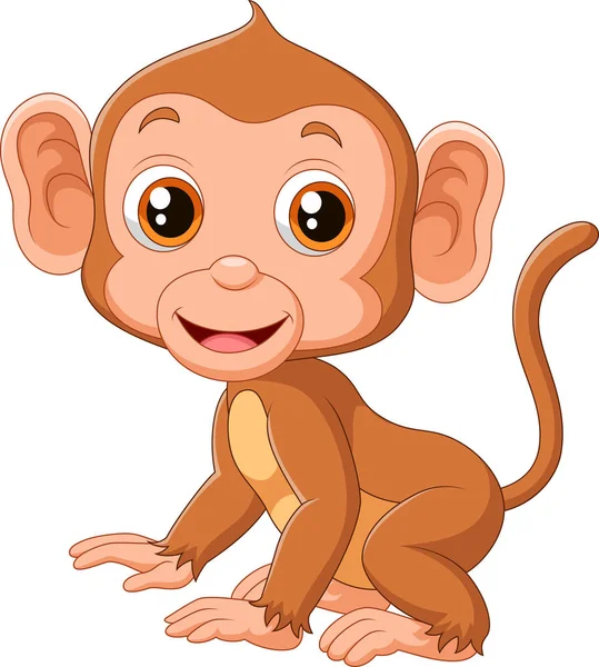 Cute baby monkey — Stock Vector