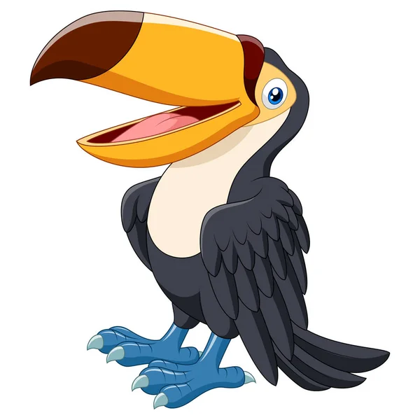 Karikatur lustiger Tukan isoliert auf weißem Hintergrund — Stockvektor