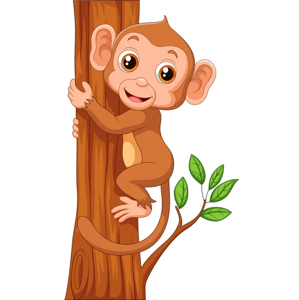 Cute monkey holding tree — Stock Vector