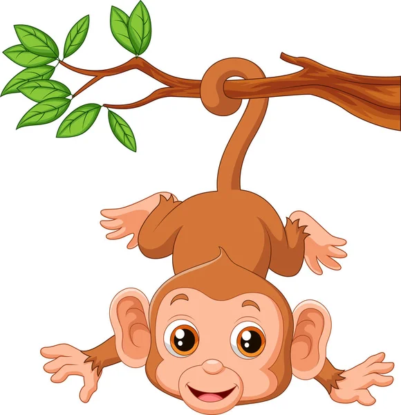 Mono lindo colgando de un árbol — Vector de stock