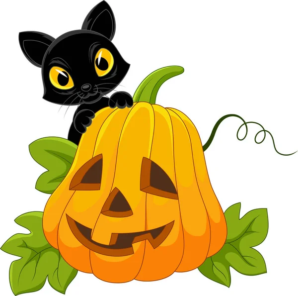 Lindo gato en blanco con calabaza de Halloween — Vector de stock