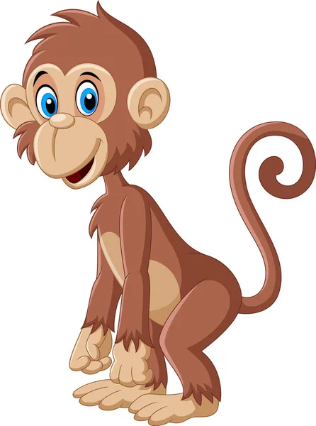 Çizgi film sevimli maymun pozu — Stok Vektör