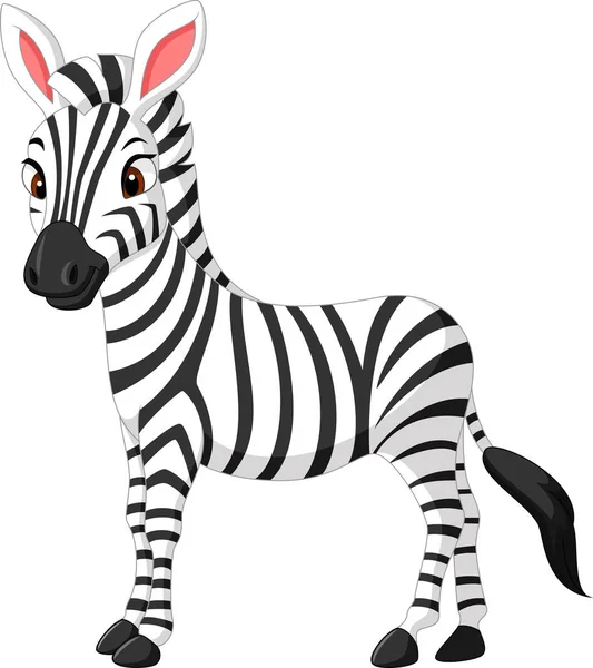 Roztomilá zebra kreslený — Stockový vektor