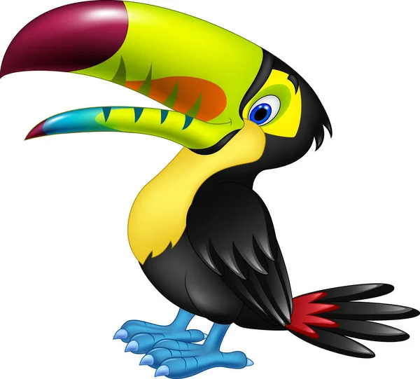 Funny toucan cartoon isolated on white — Stock Vector