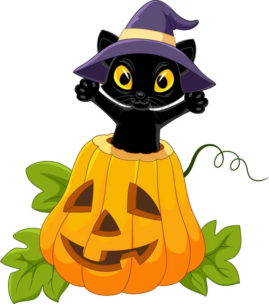 Lindo gato negro con calabaza de Halloween — Vector de stock
