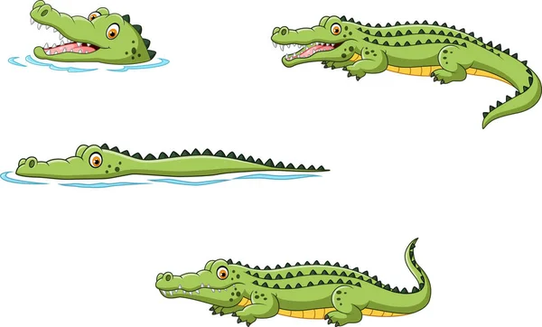 Conjunto de colecção de crocodilos — Vetor de Stock