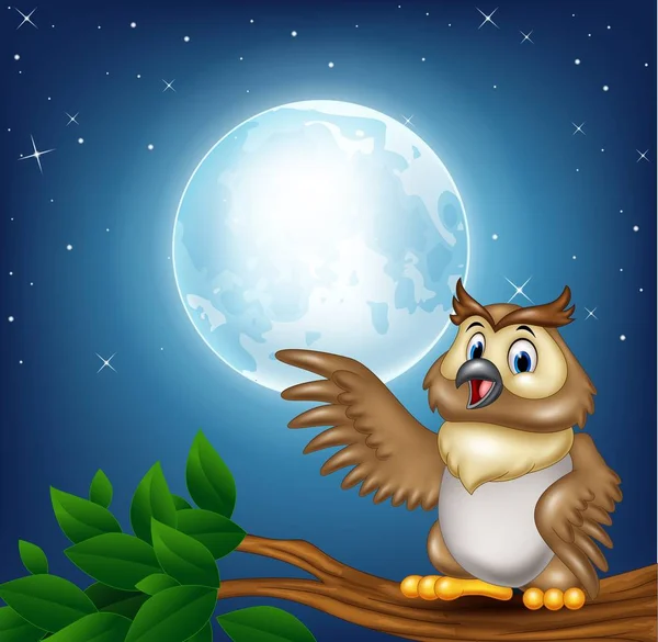 Cartoon owl on a tree branch in the night — Stock Vector