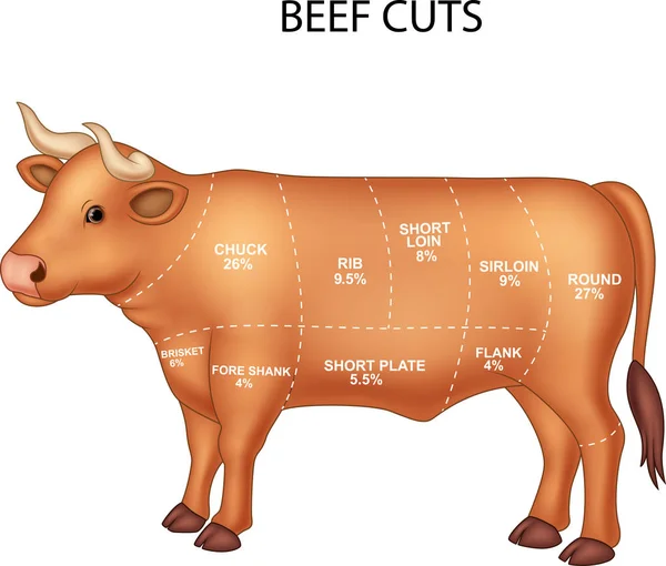 Cut of beef set — Stock Vector