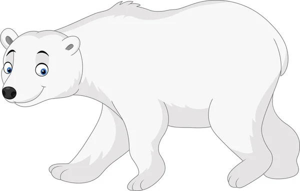 Cartoon polar bear isolated on white background — Stock Vector