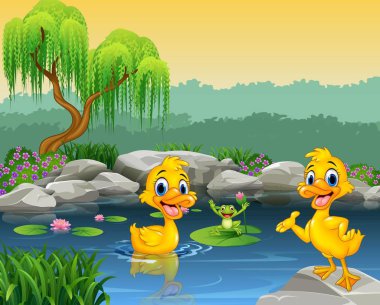 Cute ducks swimming on the pond and frog