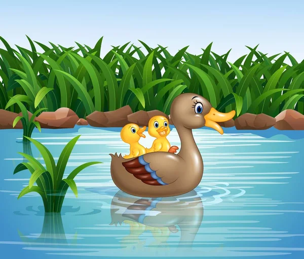 Pato familia natación — Vector de stock