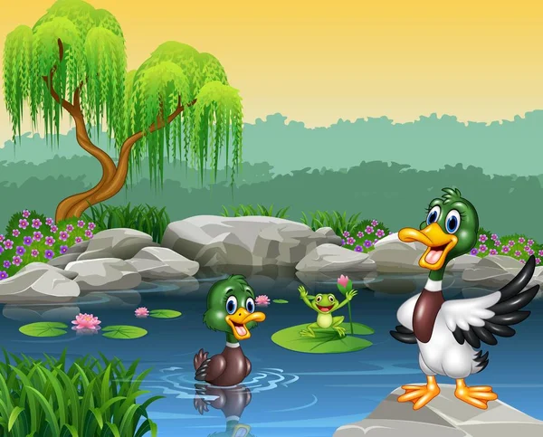 Lindos patos nadando en el estanque y la rana — Vector de stock