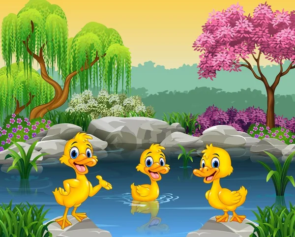 Cute ducks swimming on the pond — Stock Vector