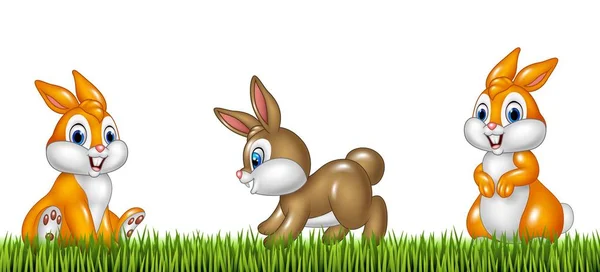 Conigli dei cartoni animati su sfondo erba — Vettoriale Stock