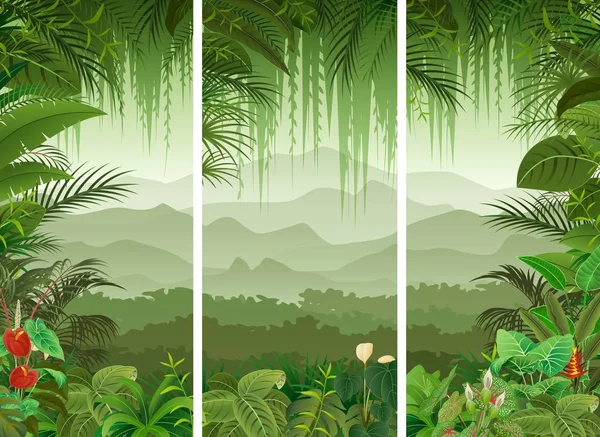 Soubor tří tropických lesů pozadí — Stockový vektor