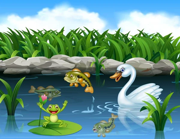 可爱的天鹅在池塘和青蛙上游泳 — 图库矢量图片