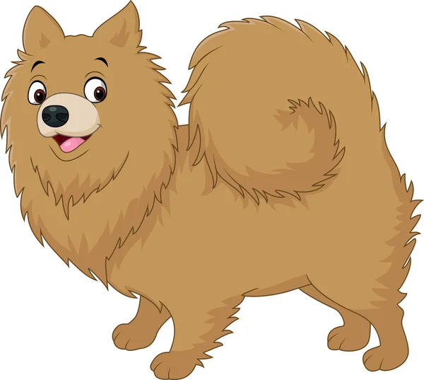 Pomeranian σκύλος χάσκεϋ σκύλο κινουμένων σχεδίων — Διανυσματικό Αρχείο