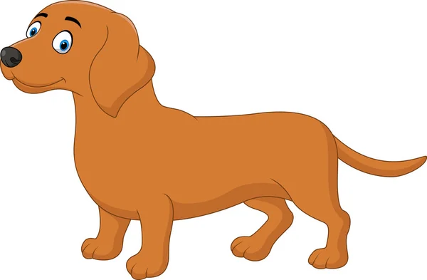 Desenhos animados cão dachshund feliz —  Vetores de Stock