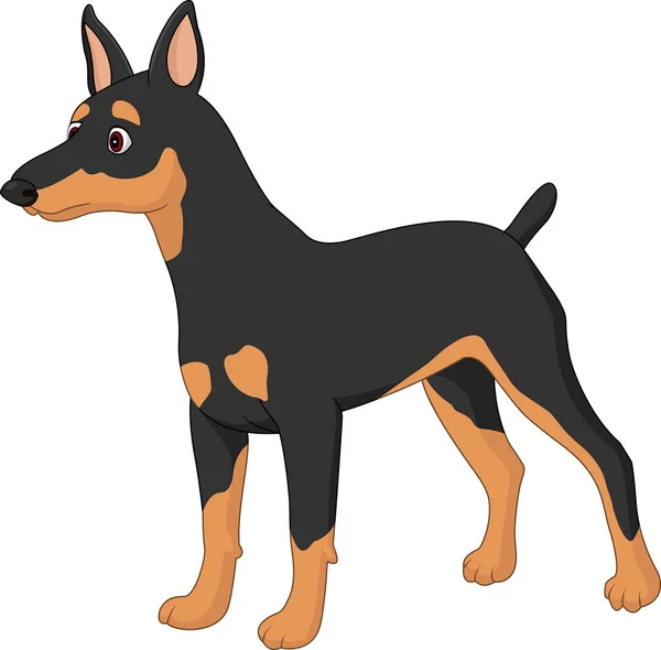 Kreslený psa miniaturní Pincher — Stockový vektor