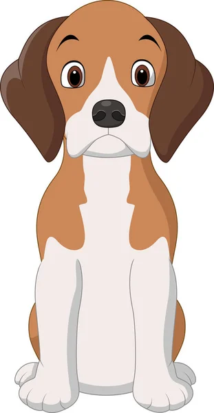 Desenhos animados feliz cão beagle sentado — Vetor de Stock