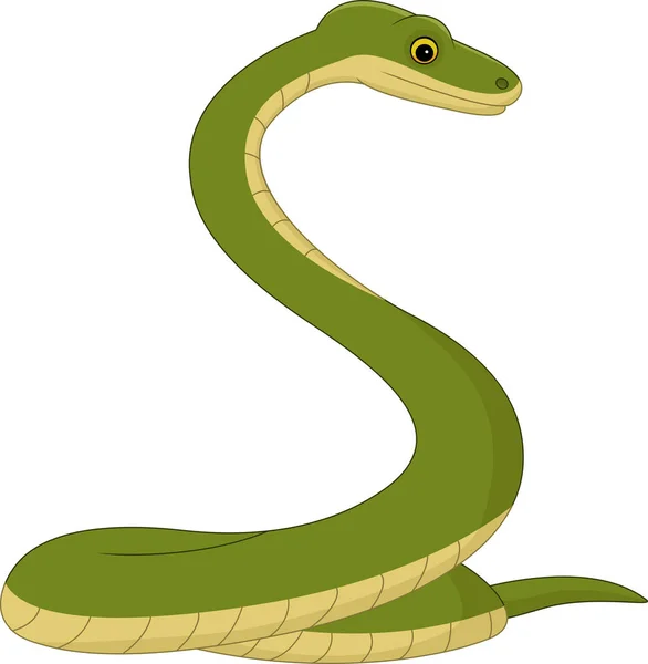 Serpiente de dibujos animados aislados sobre fondo blanco — Vector de stock