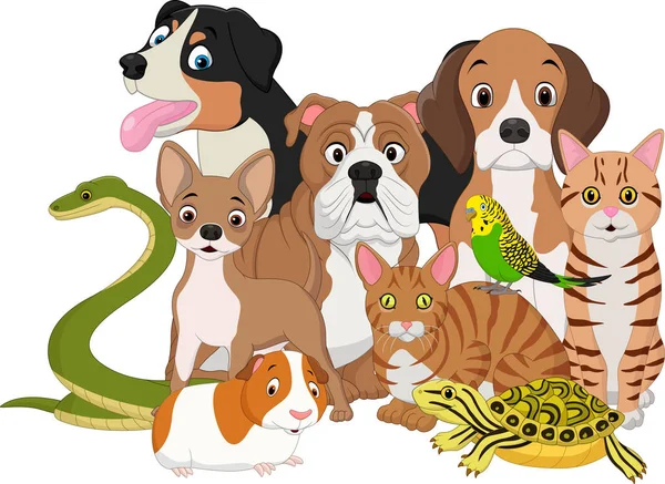 Group of pets cartoon — Stock Vector