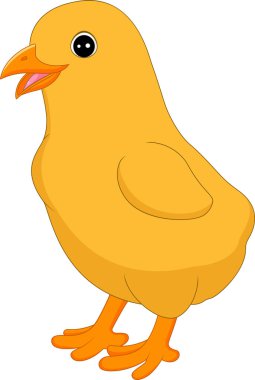 Beyaz arka plan üzerinde izole küçük civciv