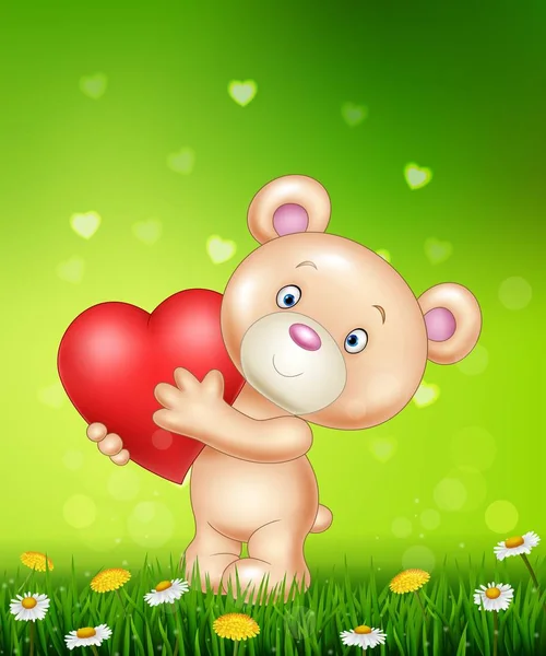 Cartoon bear holding red heart on green grass — Stock Vector