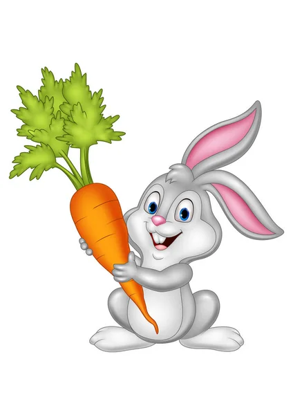 Cartoon konijn holding wortel geïsoleerd op witte achtergrond — Stockvector