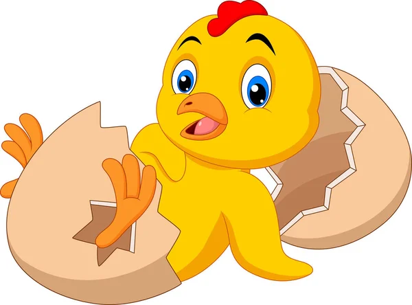 Cartoon new born chick — Stock Vector