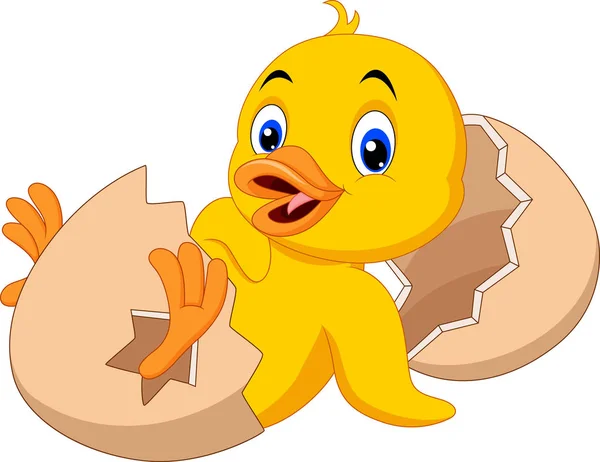 Cartoon new born duckling — Stock Vector