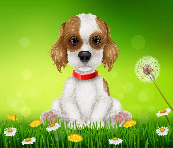 การ์ตูนสุนัขตลกนั่งบนหญ้า — ภาพเวกเตอร์สต็อก