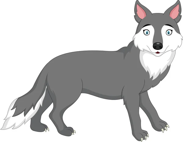 Cartoon wolf geïsoleerd op witte achtergrond — Stockvector