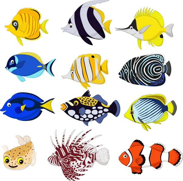 Insieme di raccolta di pesci tropicali cartone animato — Vettoriale Stock