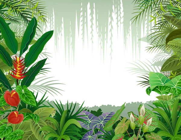 Obrázek pozadí tropických lesů — Stockový vektor