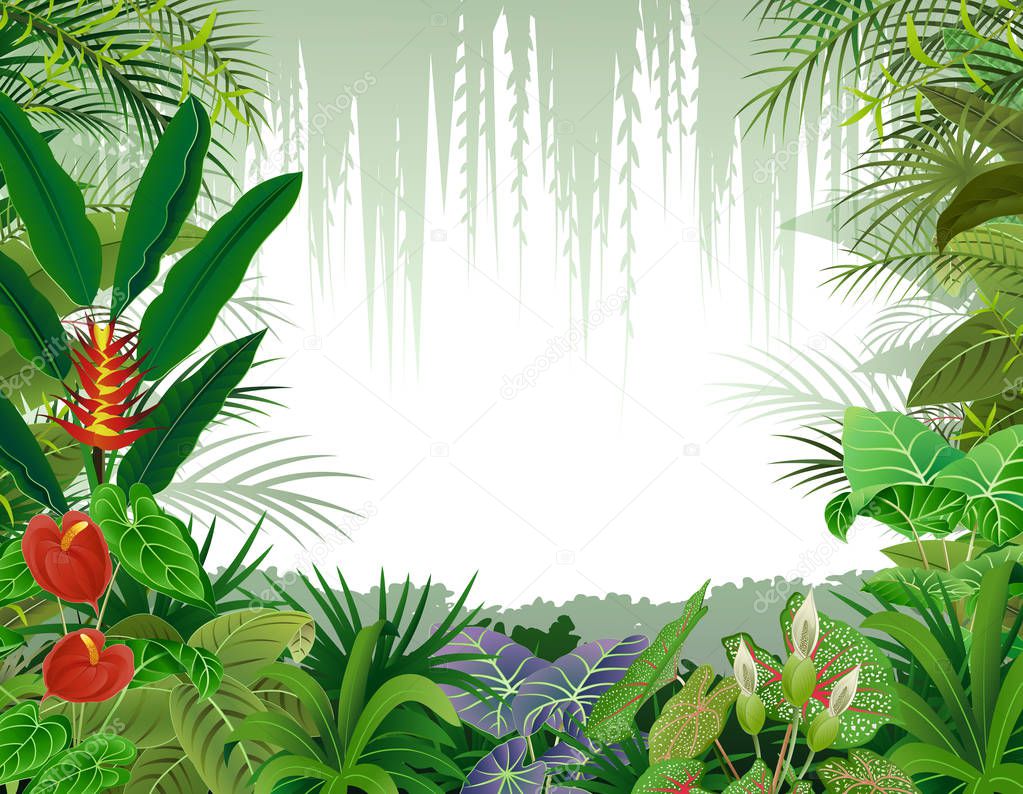 Illustration of tropical forest background