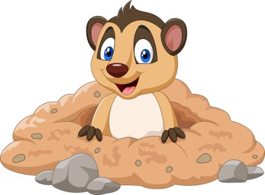 Çizgi film meerkat bir deliğe