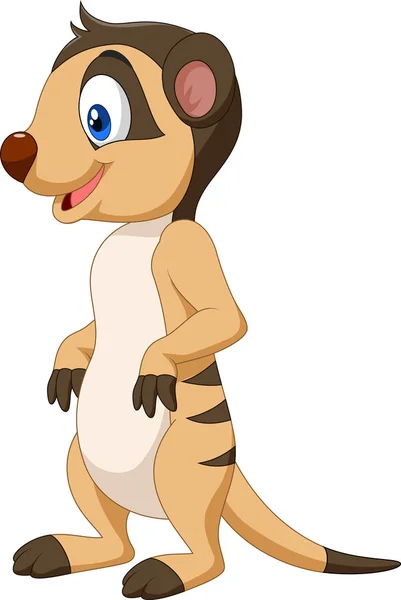 Dibujos animados feliz suricata — Vector de stock