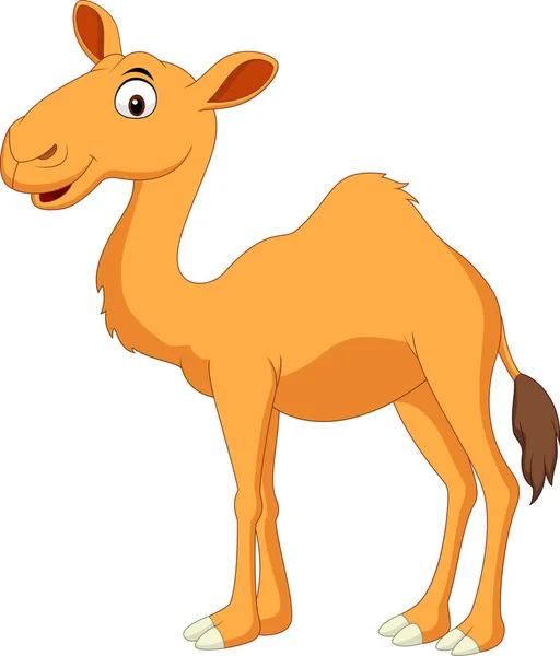 Desenhos animados de camelo bonito — Vetor de Stock