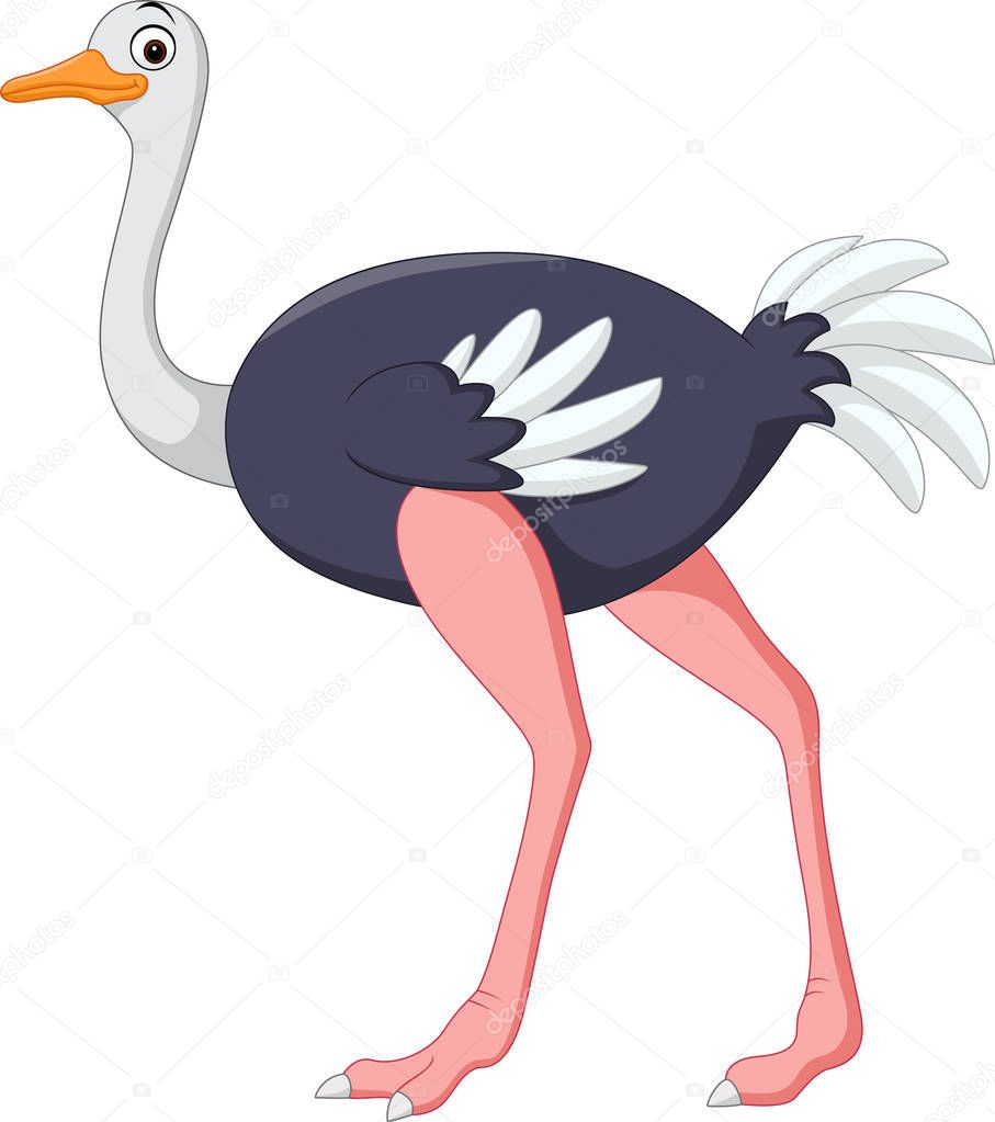 Cartoon ostrich posing