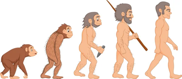 Dibujos animados evolución humana — Vector de stock