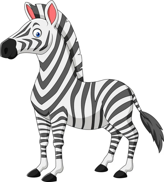 Zebra dos desenhos animados isolado no fundo branco — Vetor de Stock