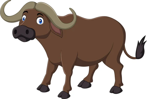 Cartoon buffel geïsoleerd op witte achtergrond — Stockvector
